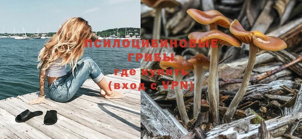 шишки Бронницы