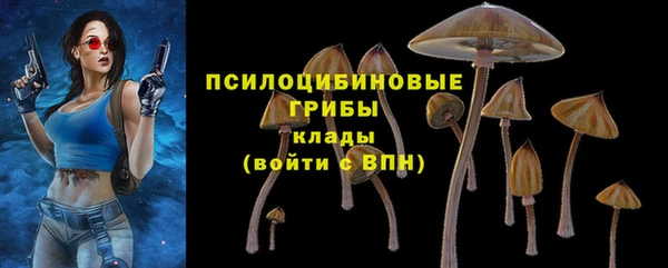 таблы Богданович