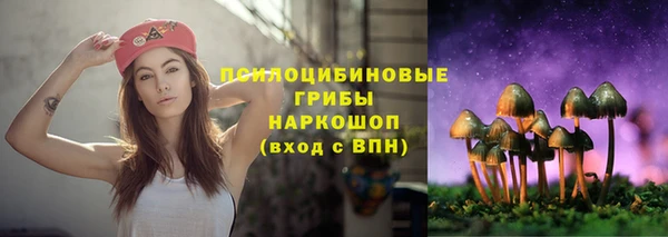 мяу мяу мука Бугульма
