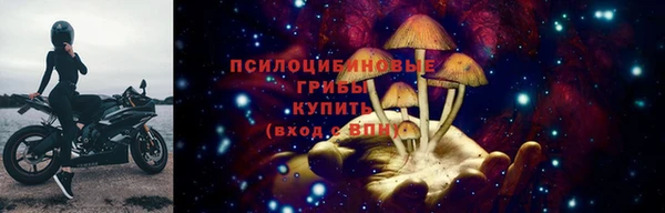 шишки Бронницы