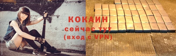 шишки Бронницы