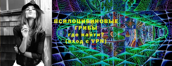 шишки Бронницы