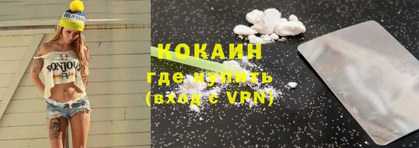 шишки Бронницы